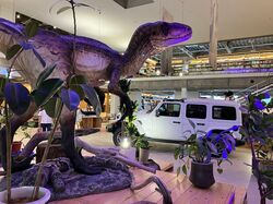 ３メートル実寸大恐竜フィギュア、デイノニクス、函館 蔦屋書店のジープ展示で大活躍！