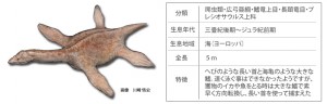 首の長いジュラ紀の海の生き物、プレシオサウルス