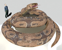 ティタノボア