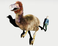 サルコスクス