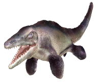 ティラノサウルス