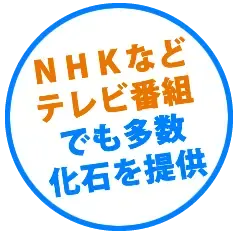 NHKなどテレビ番組にも提供