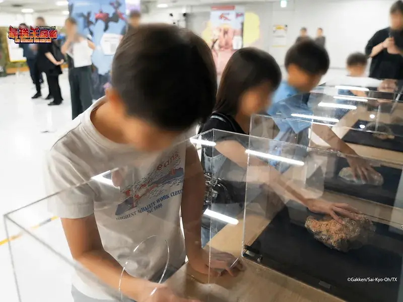 本物の化石に触れる体験をする子ども