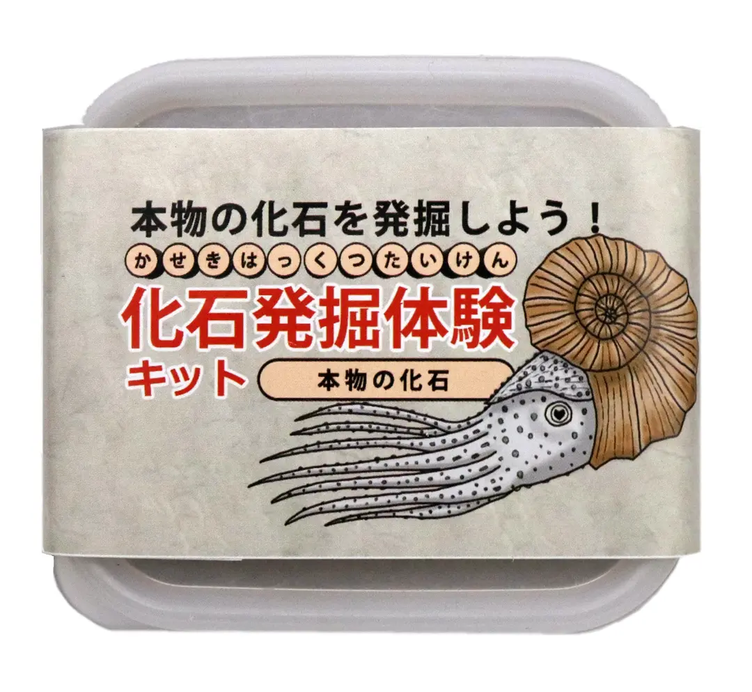 本物】恐竜化石発掘キット| イベント向け恐竜レンタル・化石レンタル