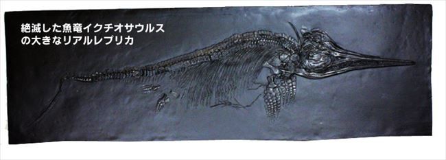 イクチオサウルスのレプリカ