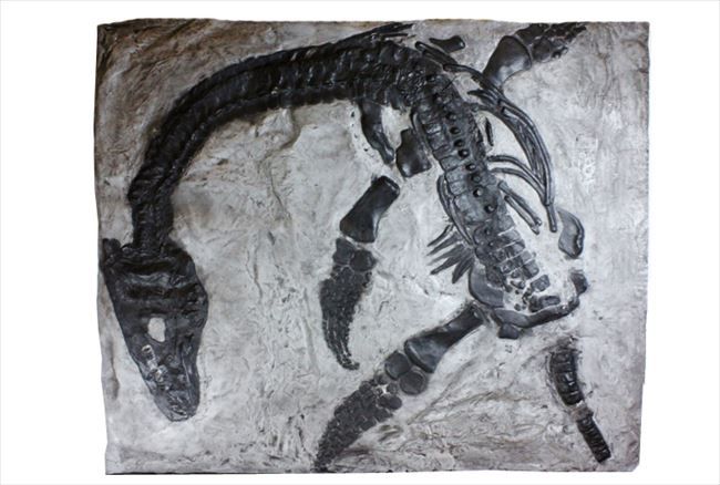 プレシオサウルスのレプリカ