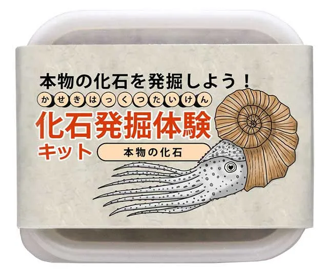 小さなお子様でも安心・安全に発掘を楽しめる!ハンマー不要!