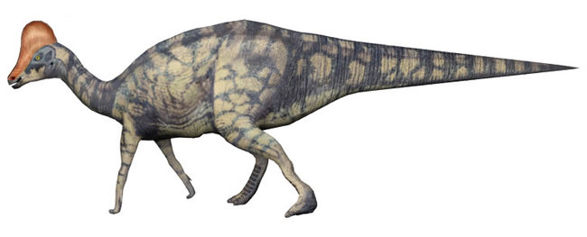 頭のトサカが特徴的なランベオサウルス。