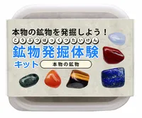 【本物】鉱物・貴石・宝石発掘イベント