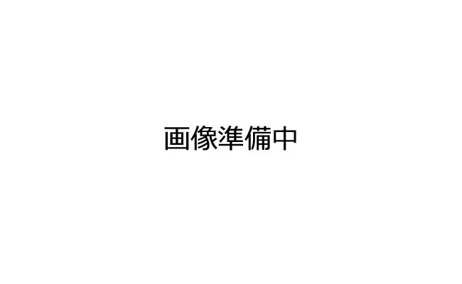 このヒレで海を自由自在に移動したのでしょう。当時の海の食物連鎖の頂点に位置していました。