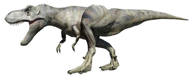 モデルは言わずと知れた、あの「ティラノサウルス・レックス」です。