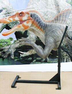 ほぼ実寸大スピノサウルスのフィギュアのレンタル