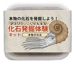 【本物】化石発掘イベント