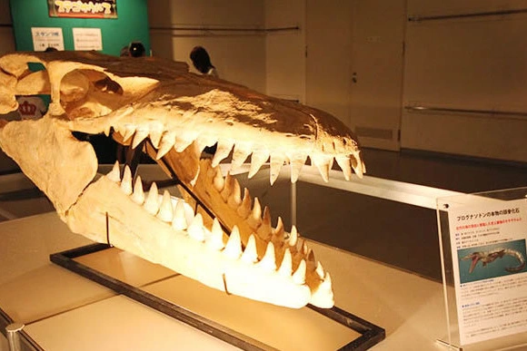 映画のあのシーンが蘇ることでしょう。