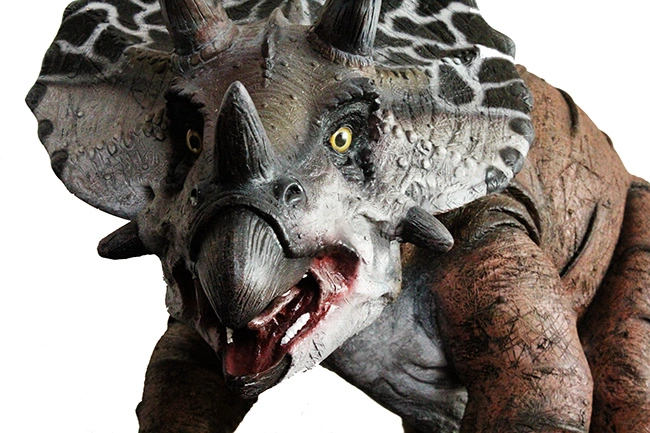 迫力のある面構え。