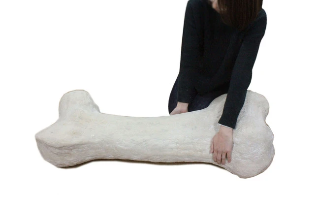 圧倒的な存在感。置くだけで恐竜イベントの雰囲気を演出できます。