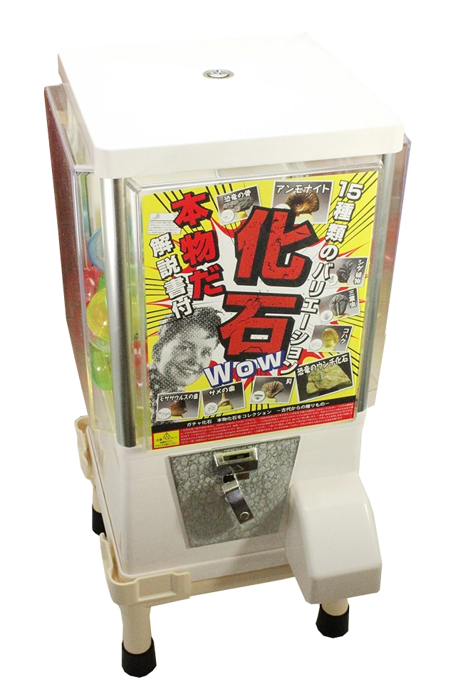 【レンタル】１５種類の化石ガチャポン