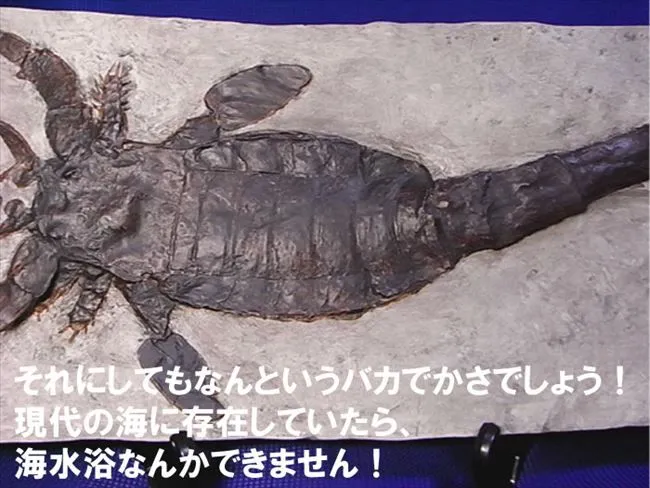 巨大海サソリVS現代サソリの展示のレンタル| イベント向け恐竜レンタル