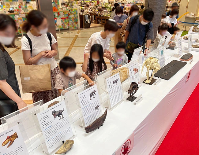 本物化石に触れる体験は、忘れることのできない夏の思い出に。