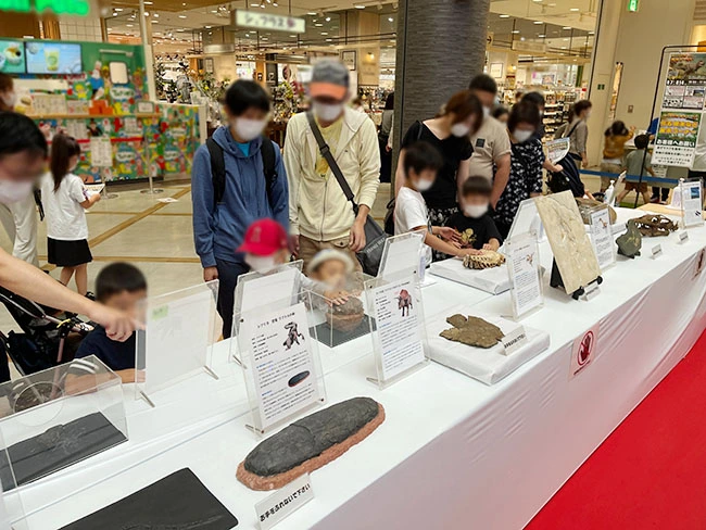 本物化石にタッチできるコーナー。親子で興味津津。