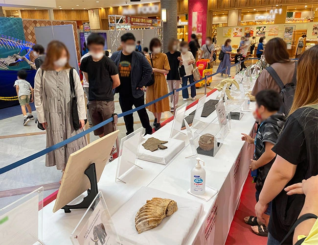 「わー！これが本物の恐竜の卵？」興奮する男の子。