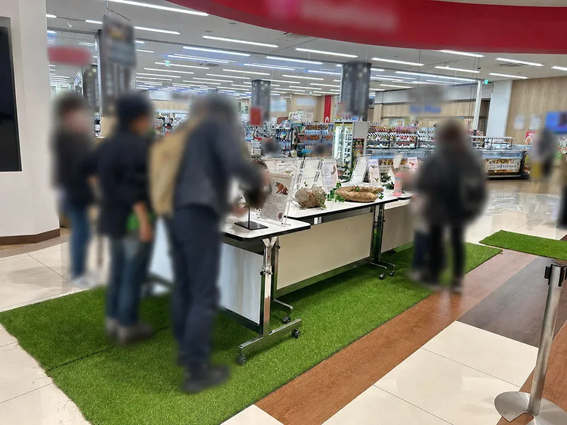 本物の化石を間近で見て、実際に触れられる体験展示。普段はなかなか接する機会のない化石に、お子さまだけでなくご家族の皆さまも興味深く見入っていました。