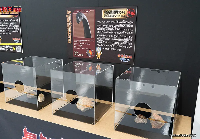 恐竜・古生物テーマのイベントに合わせて、展示パネルと本物化石を組み合わせた構成に。世界観を損なわず、学びと体験を加えることで、会場内の回遊性や滞在価値の向上にもつながります。