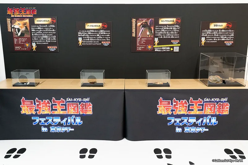 複数の本物化石を並べることで、来場者が比較しながら楽しめる展示空間を構成。キャラクターや解説パネルと連動させることで、子どもにも分かりやすく、写真映えする展示エリアになります。