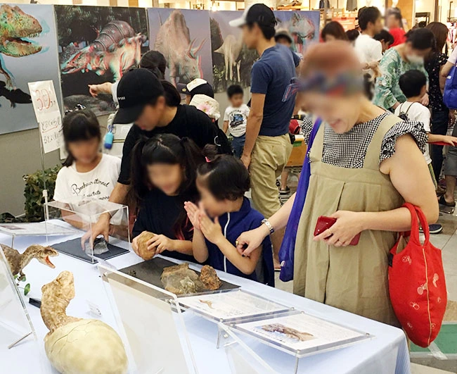 恐竜のウンチ化石にタッチ！大興奮の親子。