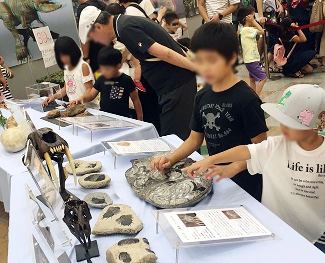 子どもの好奇心を満たす充実のコンテンツです。
