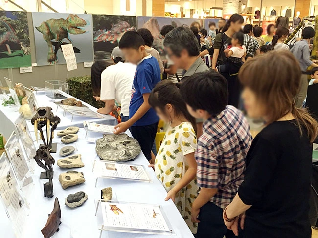 展示物とタッチ標本を上手く組み合わせて、充実したイベント内容に。