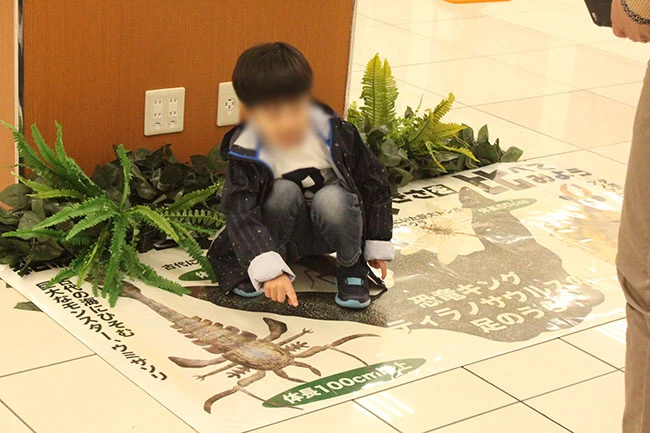 ティラノサウルスの足跡の大きさに驚きの声。古代のサソリの大きさに驚く男の子。