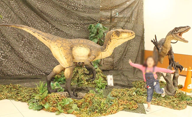 ３ｍ実寸大フィギュア、デイノニクスオープンマウスとクローズマウス。２体並ぶと迫力の展示に。