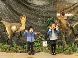 大型ショッピングセンターで複合コンテンツを実施した例。