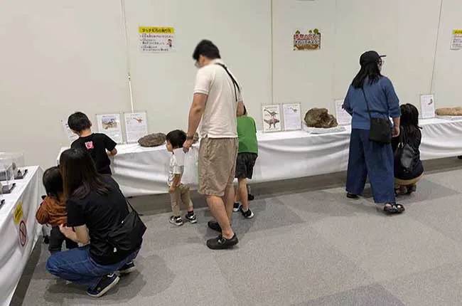 本物の化石に触れて、かけがえのない思い出を。
