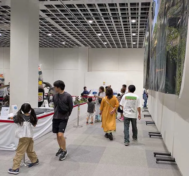 館内には、展示や体験、映像など、多彩なコンテンツを配置。