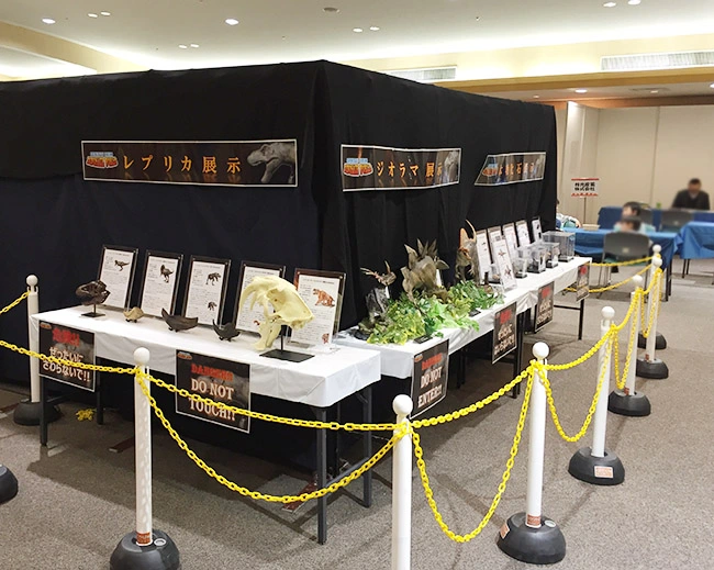 各種展示物。いろいろな角度で恐竜や古生物を楽しんでいただけました。