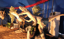 福山コロナワールド大恐竜博覧会にコンテンツを貸し出し。 イベント成功例
