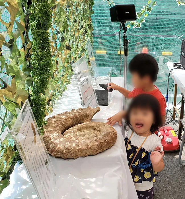 「わー！大きいっ。」アンモナイトに驚きながらタッチする女の子。