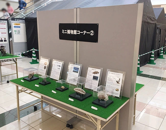 ミニ博物館その２