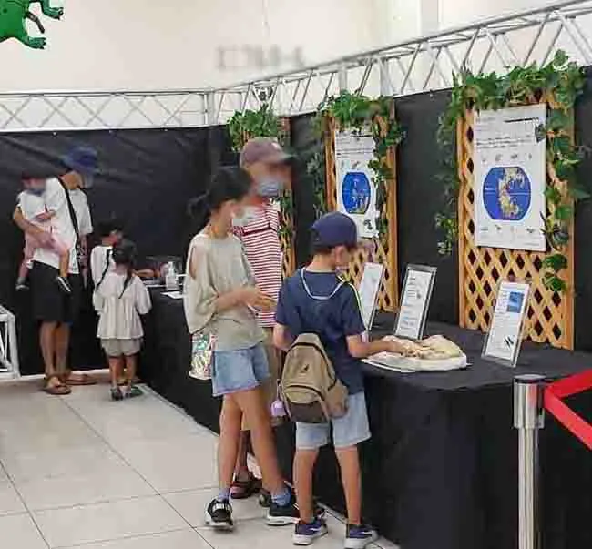 「これって本物の化石なの！すごい！」大型の本物化石に興味津々の男の子。__kaigyou__