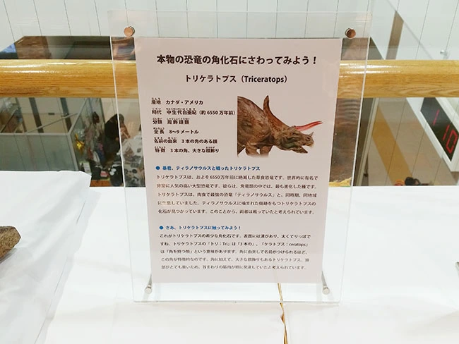 触るだけでなく、パネルを見て勉強にも。子供たちの好奇心を掻き立てます。