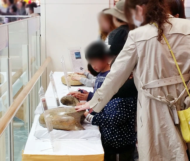 子供たちだけでなく、大人も興味津々。