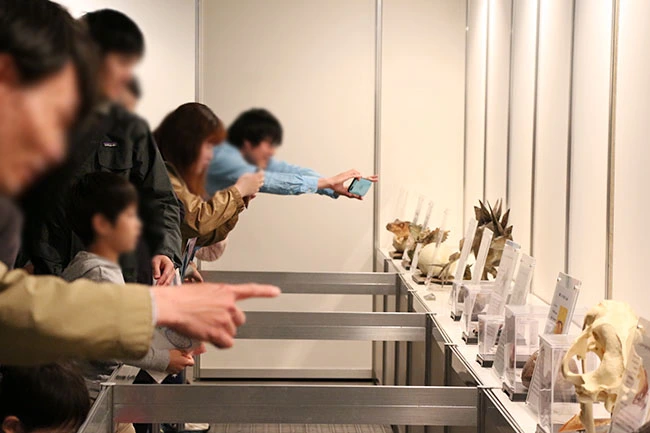 説明パネル付属で、くわしい解説付き。楽しみながら学べる恐竜展です。