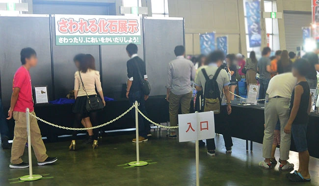タッチ化石の前には長蛇の列が！