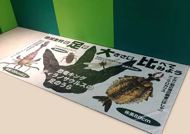 恐竜の足と君の足の大きさを比べてみよう！