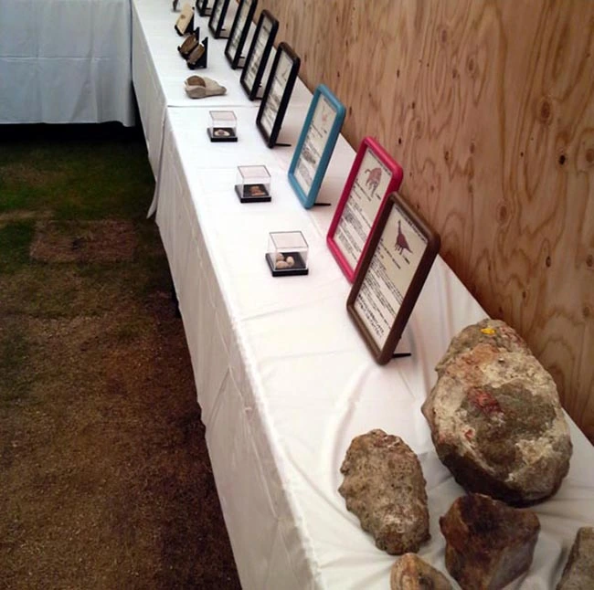 化石やレプリカの展示には、それぞれの詳細な説明が付属したパネルも付属しています。この工夫により、お子さんだけでなく親御さんも深く楽しむことができます。