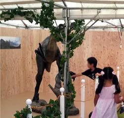 和歌山県　住宅展示場での恐竜イベント成功例 イベント成功例