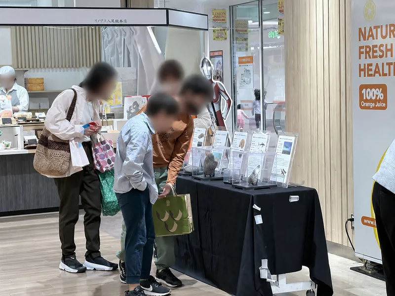 化石標本の展示コーナーでは、実物を間近で見ながら学べる体験を提供。ワークショップ以外にも自由観覧できる要素を加えることで、幅広い来場者に訴求できます。