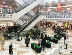 お正月イベント、大型ショッピングセンター開催の恐竜イベントで盛り上がった成功例 イベント成功例